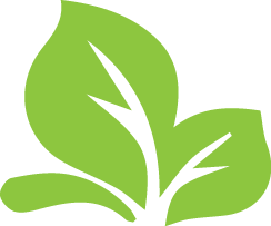 Leaf Leaf